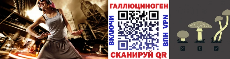 Псилоцибиновые грибы Magic Shrooms  Купить  Медынь 